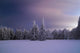 Winter Night Wall Mural