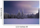Winter Night Wall Mural