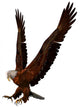 Eagle Attack Wall Decal