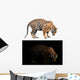 bengal tiger in dark and white background Wall Decal