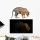 bengal tiger in dark and white background Wall Decal