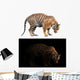 bengal tiger in dark and white background Wall Decal