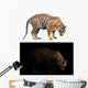 bengal tiger in dark and white background Wall Decal