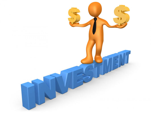 Investment In Dollar Wall Decal