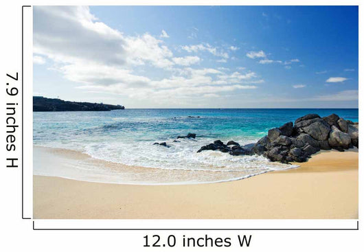 Beach Time Wall Mural
