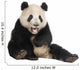 Giant Panda (18 months) - Ailuropoda melanoleuca Wall Decal