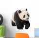 Giant Panda 18 Months - Ailuropoda Melanoleuca Wall Decal