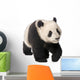 Giant Panda 18 Months - Ailuropoda Melanoleuca Wall Decal