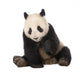 Giant Panda (18 months) - Ailuropoda melanoleuca Wall Decal