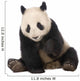 Giant Panda (18 months) - Ailuropoda melanoleuca Wall Decal