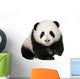 Baby Giant Panda Wall Decal
