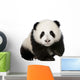 Baby Giant Panda Wall Decal