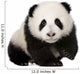 Baby Giant Panda Wall Decal