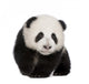 Giant Panda (4 months) - Ailuropoda melanoleuca Wall Decal