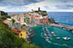Vernazza from above Wall Decal