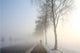 Snow Landscape Mist Wall Decal