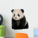 Baby Giant Panda Wall Decal