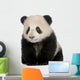 Baby Giant Panda Wall Decal