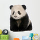 Baby Giant Panda Wall Decal