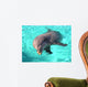 Dolphin Wall Mural