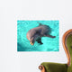 Dolphin Wall Mural