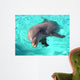 Dolphin Wall Mural
