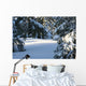 Winter Trees Wall Mural