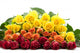Bouquet of Colorful Roses on White Background Wall Decal