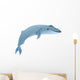 Blue whale marine mammal. Blue whale is largest animal on earth Wall Decal