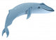 Blue whale marine mammal. Blue whale is largest animal on earth Wall Decal