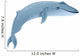 Blue whale marine mammal. Blue whale is largest animal on earth Wall Decal