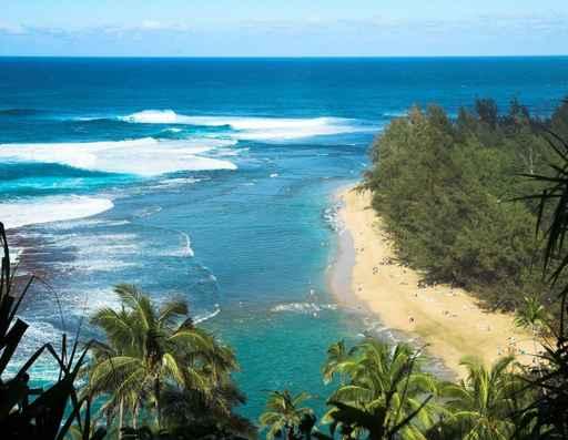 Tropical Beach Wall Decal Design 1