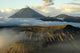 Bromo Wall Decal Design 2