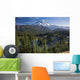 View of Mount Rainier with a lake in the foreground Wall Mural