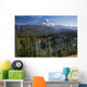 View of Mount Rainier with a lake in the foreground Wall Mural