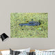 Portrait of Alligator floating in a swamp Wall Mural