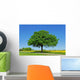 Tree, Oak Wall Mural