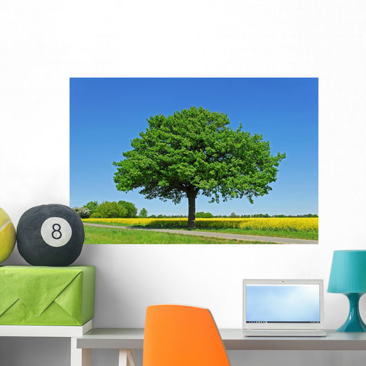 Tree, Oak Wall Mural