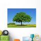 Tree, Oak Wall Mural