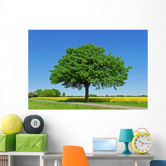 Tree, Oak Wall Mural
