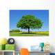 Tree, Oak Wall Mural