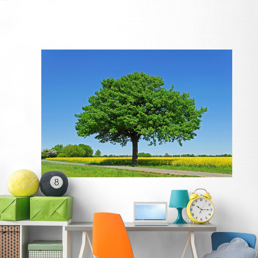 Tree, Oak Wall Mural