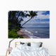 lahaina maui Wall Mural
