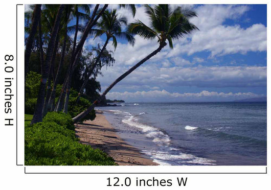 lahaina maui Wall Mural