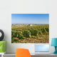 Burgundian Vineyards near Meursault Wall Decal