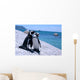 Love-Birds Two Penguins at Boulders Beach Wall Mural
