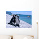 Love-Birds Two Penguins at Boulders Beach Wall Mural