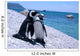 Love-Birds Two Penguins at Boulders Beach Wall Mural