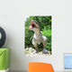 Dinosaur Wall Mural