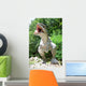 Dinosaur Wall Mural